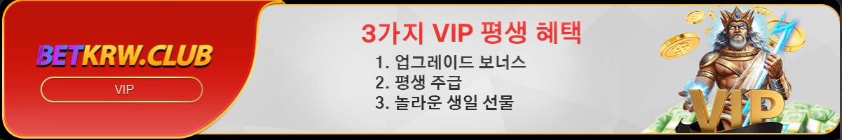 VIP 프로그램에 참여하고 업그레이드 보너스와 평생 주급 혜택을 누리세요